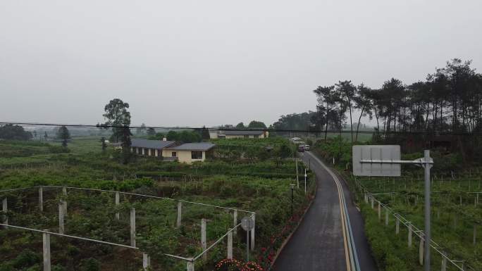 浦江猕猴桃种植园区