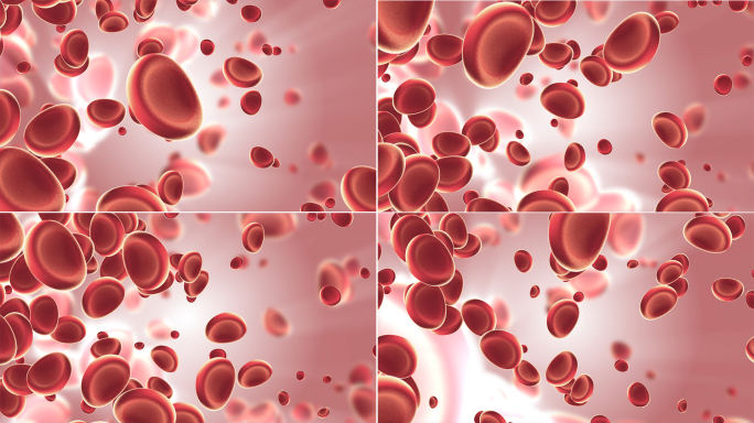 免疫抗疫造血红细胞恢复人体供血