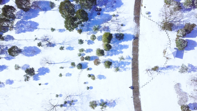 紫金山雪景航拍