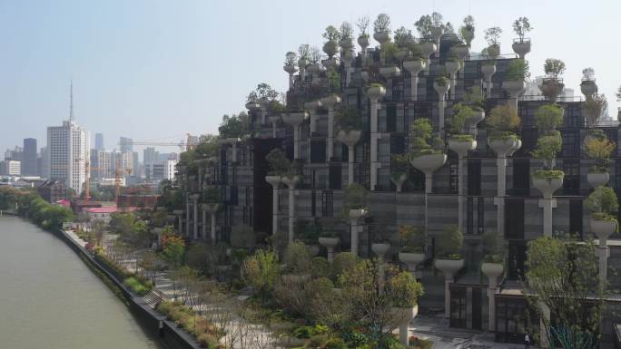4K原素材-航拍上海苏州河畔巨型树屋