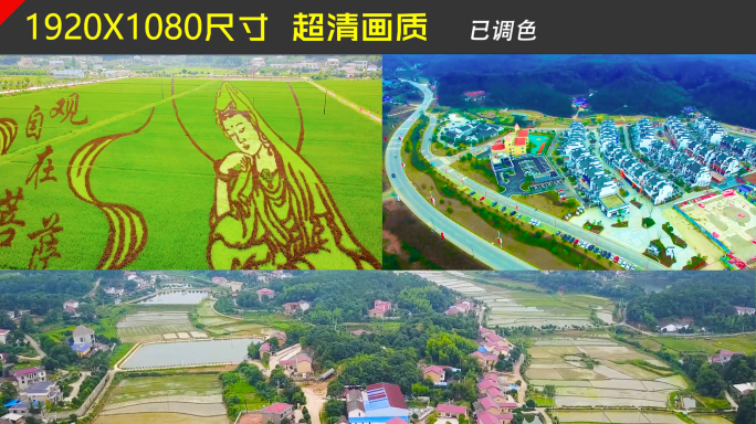 新农村稻田艺术民居乡村建设