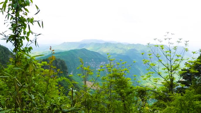 鸡峰山旅游游客实景拍摄