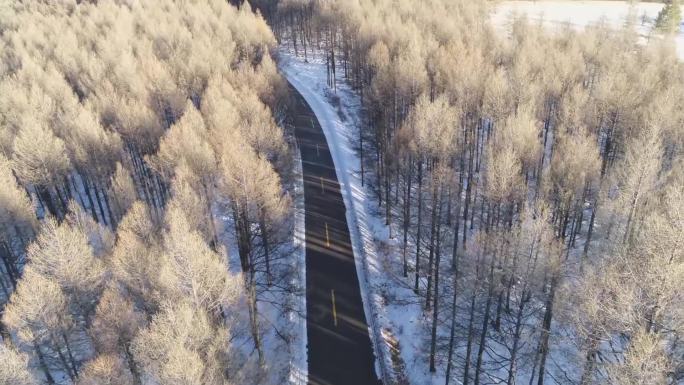 雪后的林间公路航拍