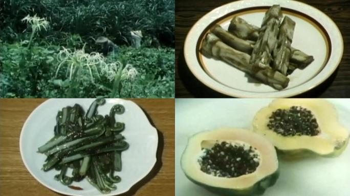 日本冲绳热带植物蔬菜水果