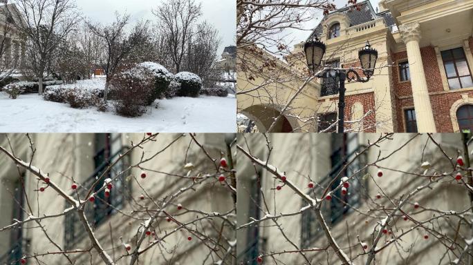 原创拍摄冬季园林雪景