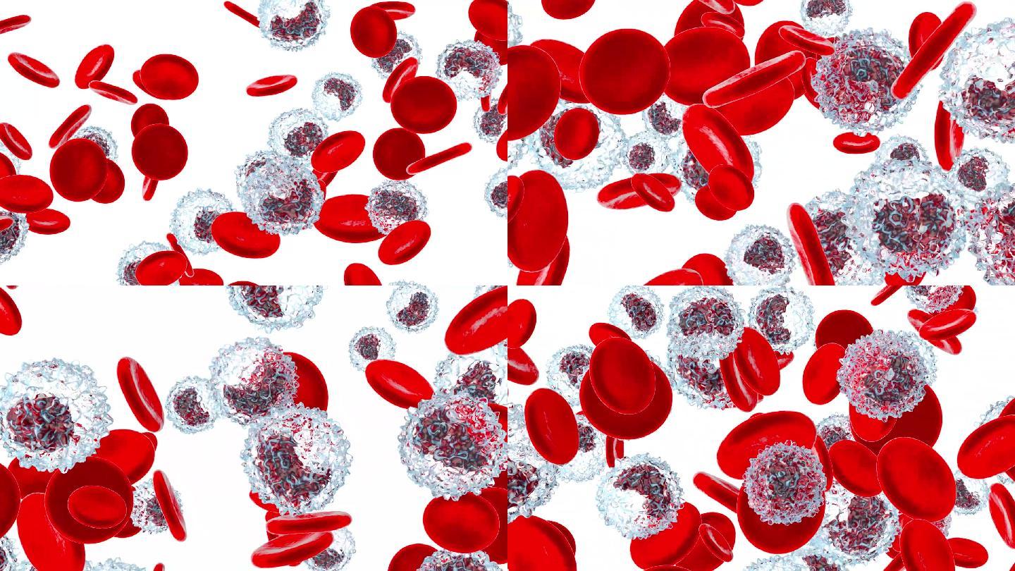 病毒和红细胞在血管中穿梭