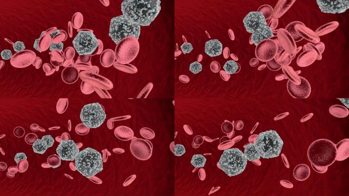 病毒入侵人体血管运动穿梭