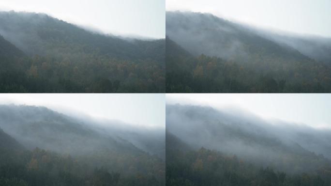 山间迷雾