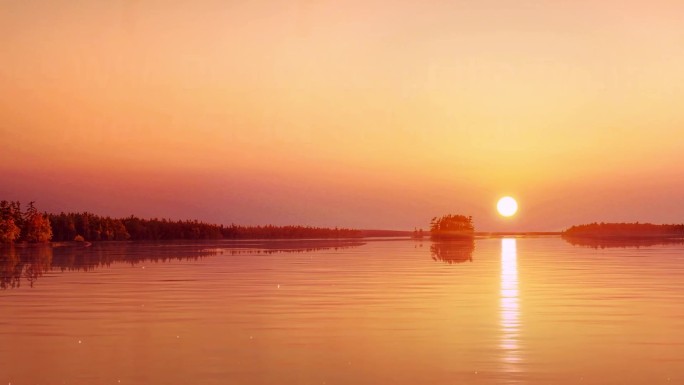 唯美夕阳湖畔芦苇荡