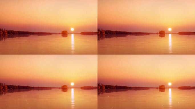 唯美夕阳湖畔芦苇荡