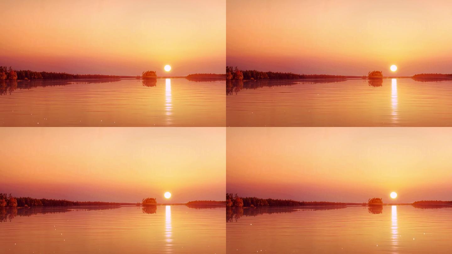 唯美夕阳湖畔芦苇荡