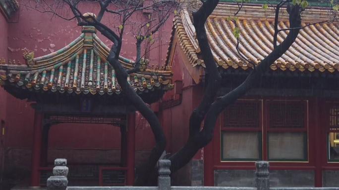 故宫的雨景-御花园中国古建筑