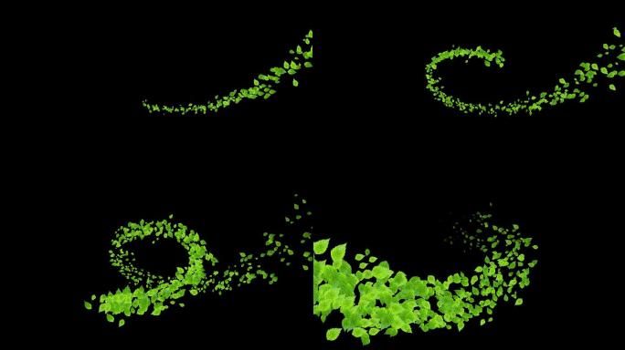 4K薄荷叶随风飘扬通道视频