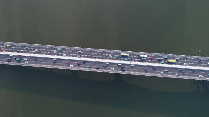 琶洲大桥