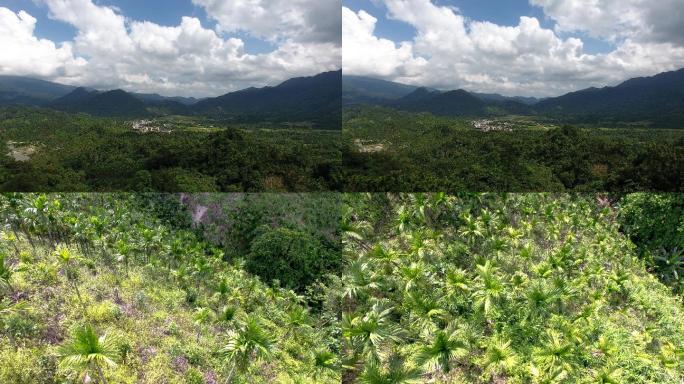 海南大里村