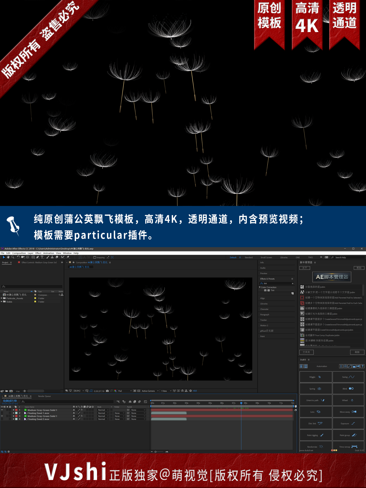 4K蒲公英飘飞优化模板