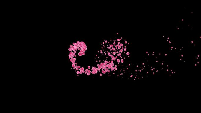 4K粉红花朵随风飘扬通道视频3