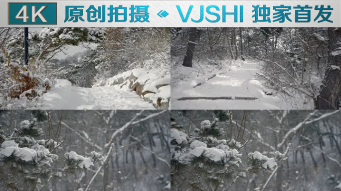 原创拍摄冬季森林浪漫雪景自然风光