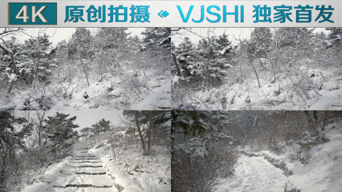 原创拍摄冬季森林浪漫雪景自然风光