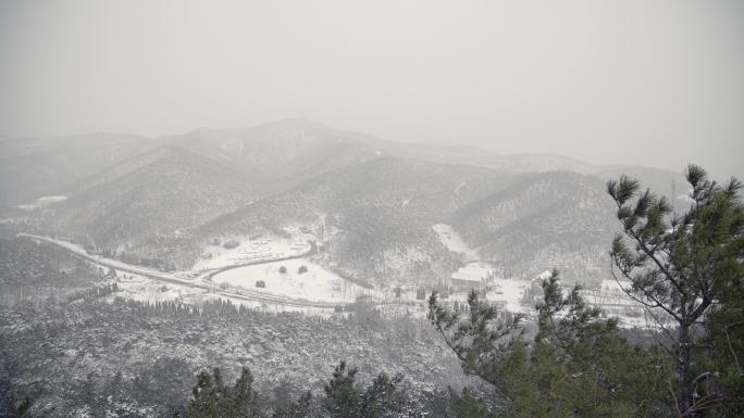 原创拍摄冬季森林浪漫雪景自然风光