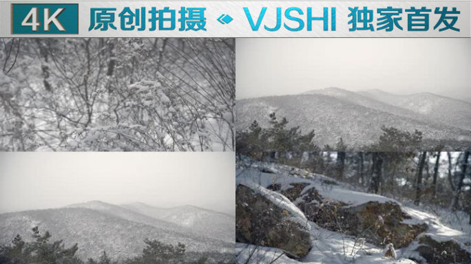 原创拍摄冬季森林浪漫雪景自然风光