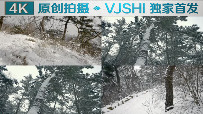 原创拍摄冬季森林浪漫雪景自然风光