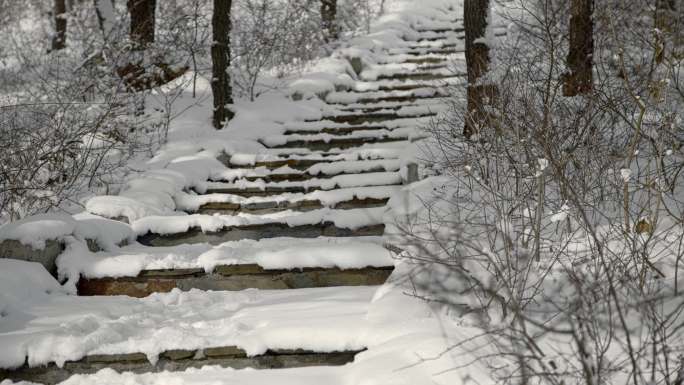 原创拍摄冬季森林浪漫雪景自然风光