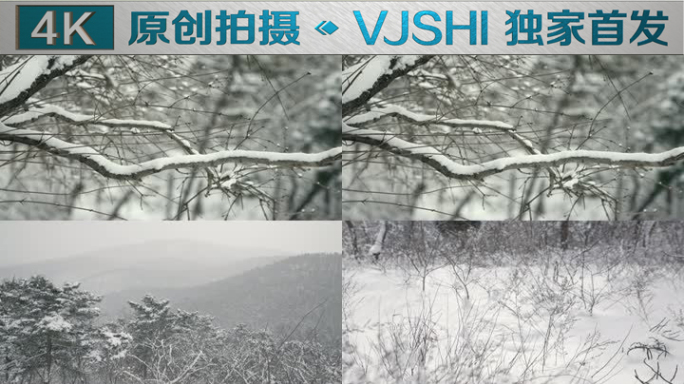 原创拍摄冬季森林浪漫雪景自然风光