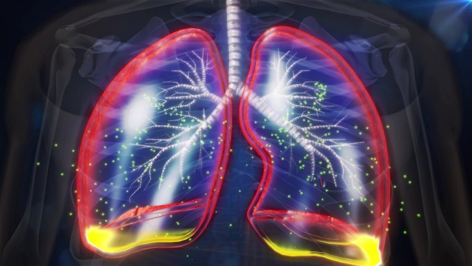 药物因子在肺的内部形成保护膜抵御病源再侵