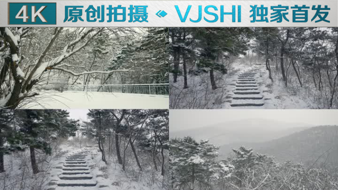 原创拍摄冬季森林浪漫雪景自然风光