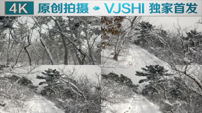 原创拍摄冬季森林浪漫雪景自然风光