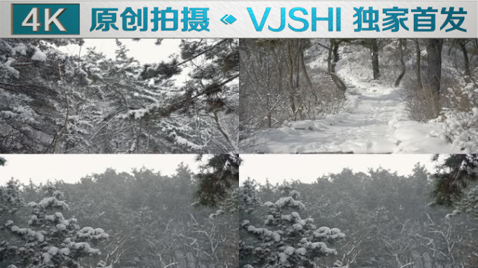 原创拍摄冬季森林浪漫雪景自然风光