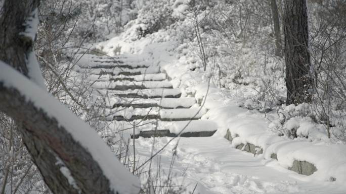 原创拍摄冬季森林浪漫雪景自然风光