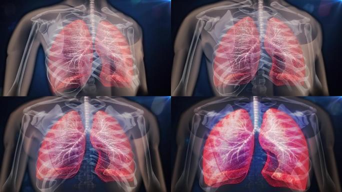 健康人的肺像两块海棉弹性很大可以自由换气