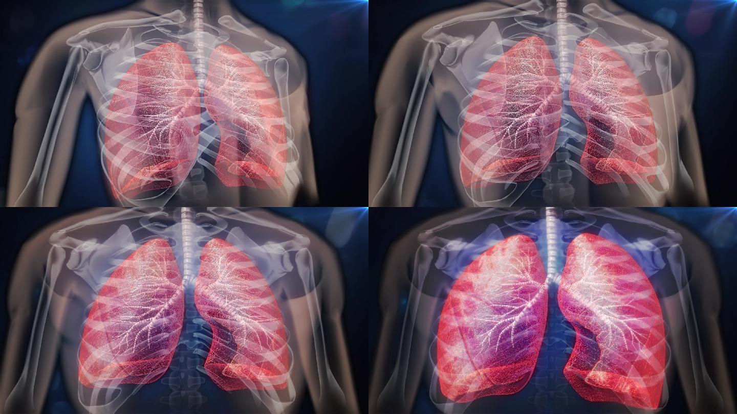 健康人的肺像两块海棉弹性很大可以自由换气