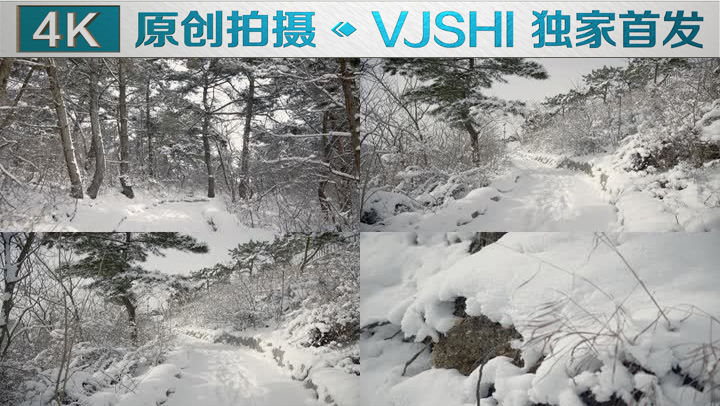 原创拍摄冬季森林浪漫雪景自然风光