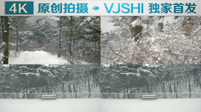 原创拍摄冬季森林浪漫雪景自然风光