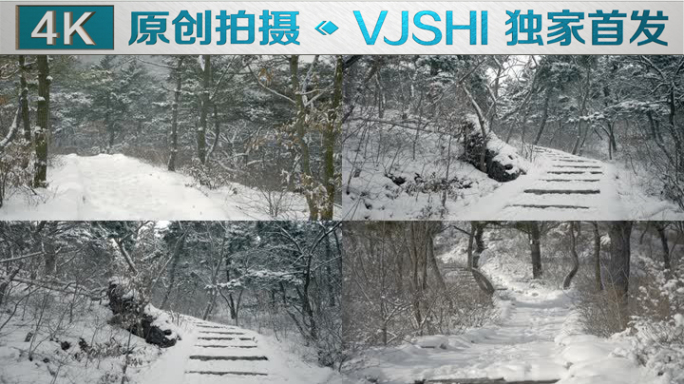 原创拍摄冬季森林浪漫雪景自然风光