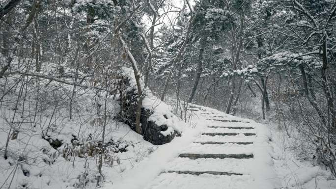 原创拍摄冬季森林浪漫雪景自然风光