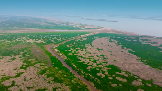 鄱阳湖湿地航拍4k