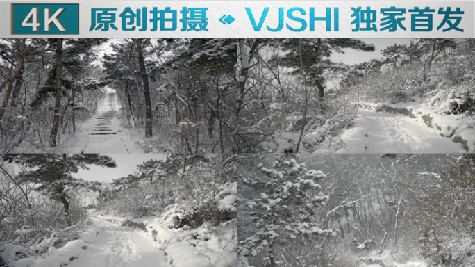 原创拍摄冬季森林浪漫雪景自然风光