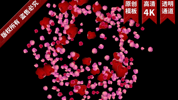 4K红色玫瑰花瓣爆炸模板