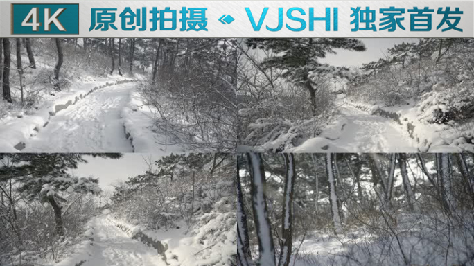 原创拍摄冬季森林浪漫雪景自然风光