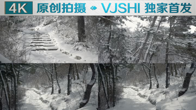 原创拍摄冬季森林浪漫雪景自然风光