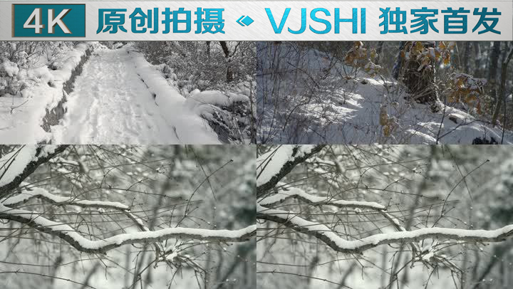 原创拍摄冬季森林浪漫雪景自然风光