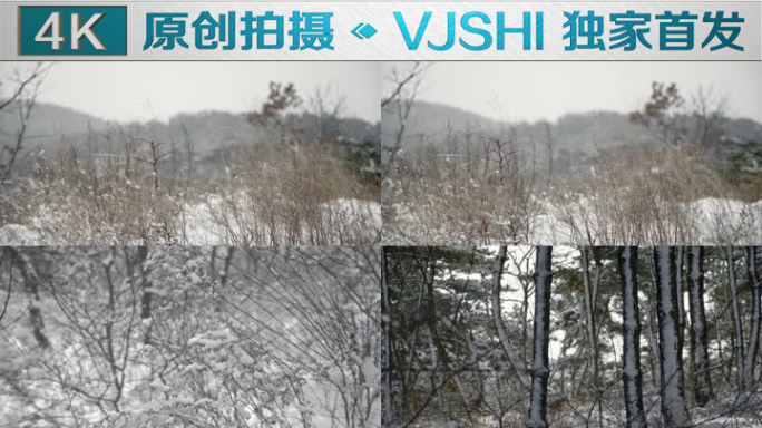 原创拍摄冬季森林浪漫雪景自然风光