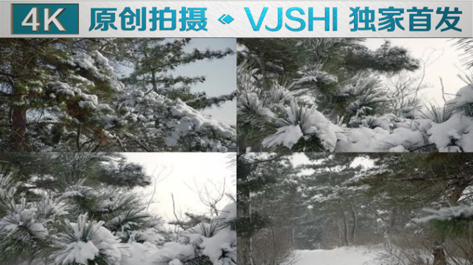 原创拍摄冬季森林浪漫雪景自然风光