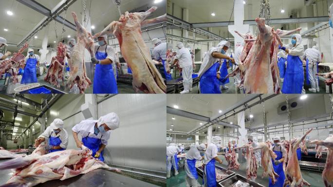 肉类加工生产4K