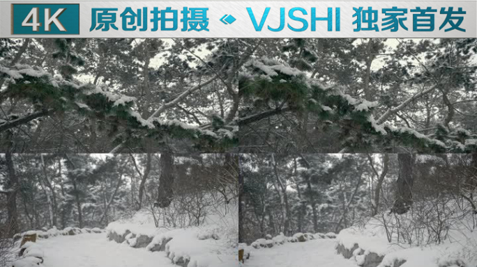 原创拍摄冬季森林浪漫雪景自然风光