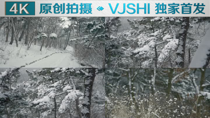 原创拍摄冬季森林浪漫雪景自然风光